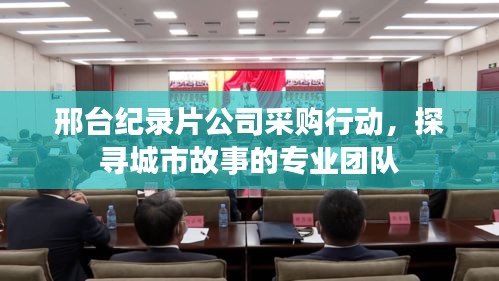 邢台纪录片公司采购行动，探寻城市故事的专业团队