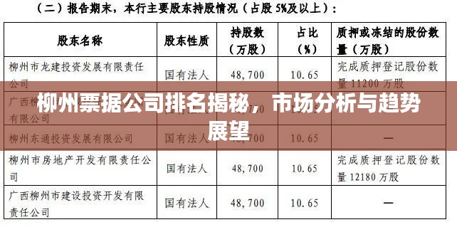 柳州票据公司排名揭秘，市场分析与趋势展望