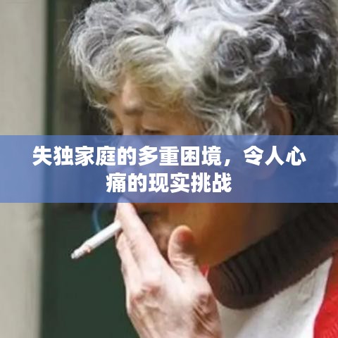 失独家庭的多重困境，令人心痛的现实挑战