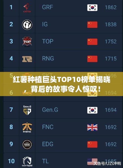 红薯种植巨头TOP10榜单揭晓，背后的故事令人惊叹！