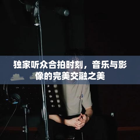 独家听众合拍时刻，音乐与影像的完美交融之美