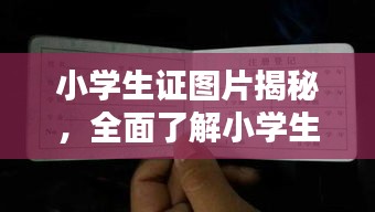 小学生证图片揭秘，全面了解小学生证信息，一网打尽！