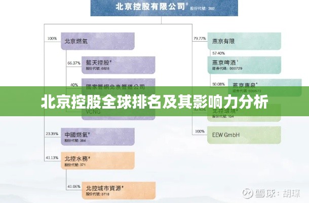 北京控股全球排名及其影响力分析