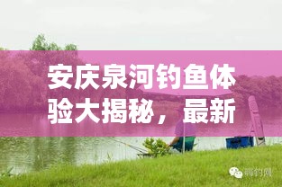 安庆泉河钓鱼体验大揭秘，最新全面解析报告