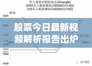 股票今日最新视频解析报告出炉！