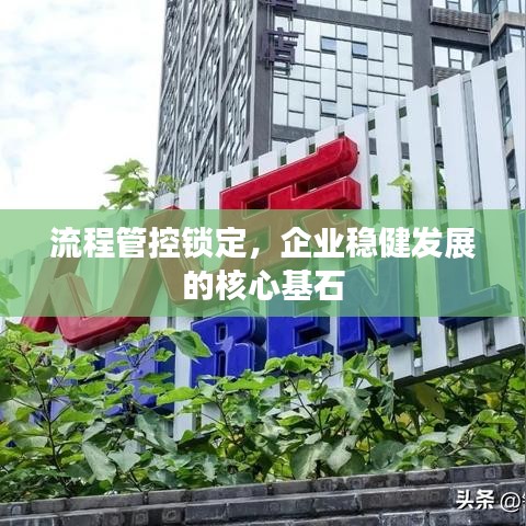 流程管控锁定，企业稳健发展的核心基石