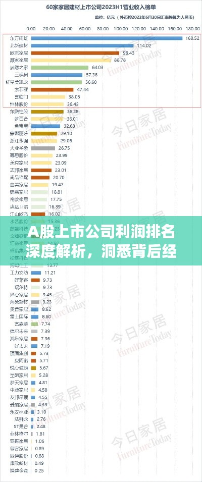 A股上市公司利润排名深度解析，洞悉背后经济脉络