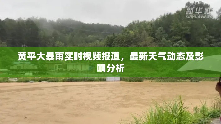 黄平大暴雨实时视频报道，最新天气动态及影响分析