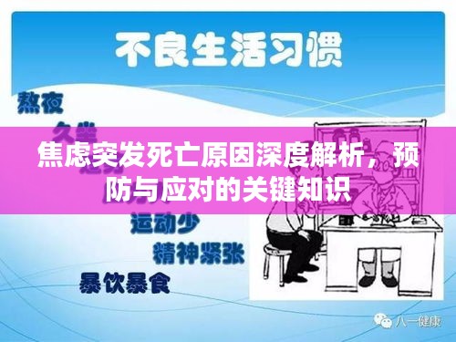 焦虑突发死亡原因深度解析，预防与应对的关键知识