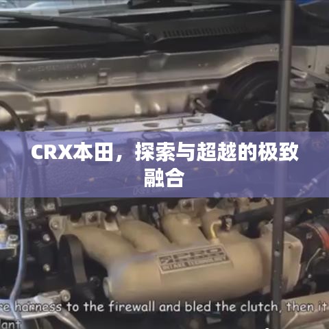 CRX本田，探索与超越的极致融合