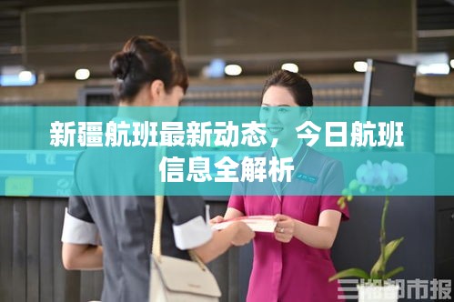 新疆航班最新动态，今日航班信息全解析