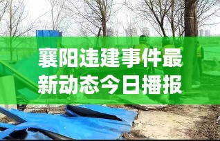 襄阳违建事件最新动态今日播报更新