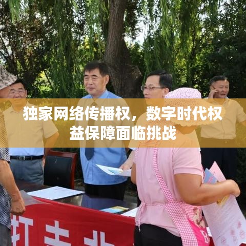 独家网络传播权，数字时代权益保障面临挑战