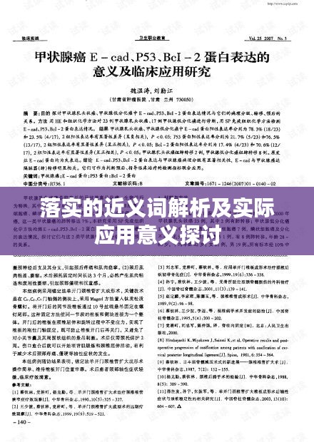 落实的近义词解析及实际应用意义探讨