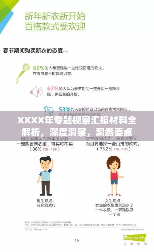 XXXX年专题视察汇报材料全解析，深度洞察，洞悉要点