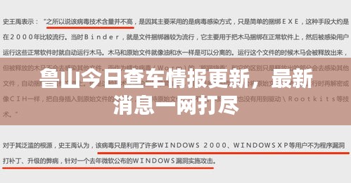 鲁山今日查车情报更新，最新消息一网打尽