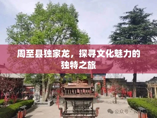 周至县独家龙，探寻文化魅力的独特之旅