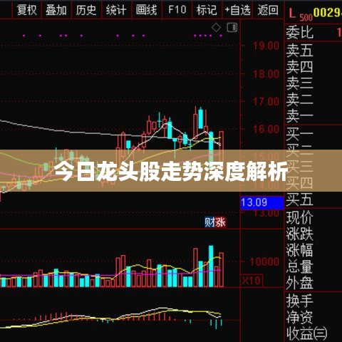 今日龙头股走势深度解析