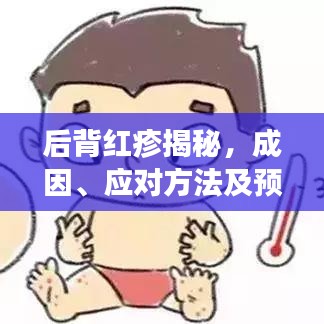 后背红疹揭秘，成因、应对方法及预防措施