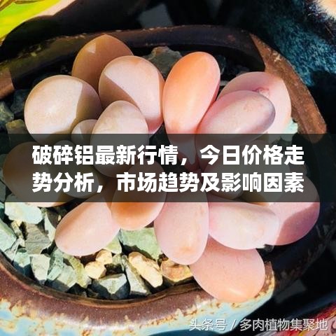 破碎铝最新行情，今日价格走势分析，市场趋势及影响因素揭秘