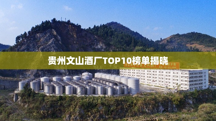 贵州文山酒厂TOP10榜单揭晓