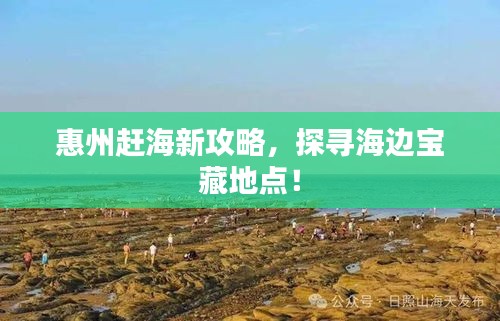 惠州赶海新攻略，探寻海边宝藏地点！