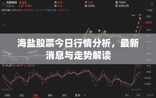 海盐股票今日行情分析，最新消息与走势解读