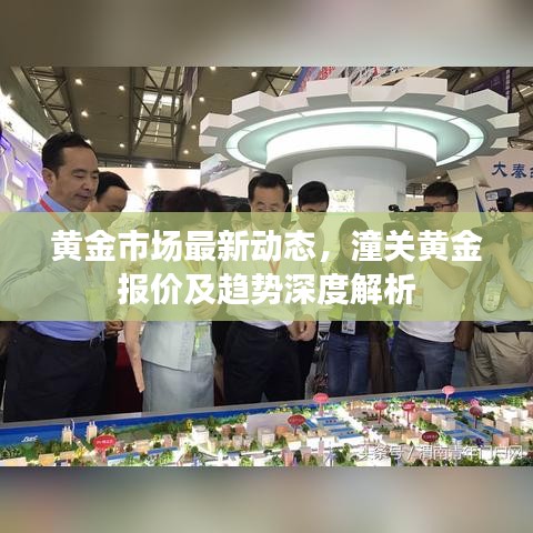 黄金市场最新动态，潼关黄金报价及趋势深度解析