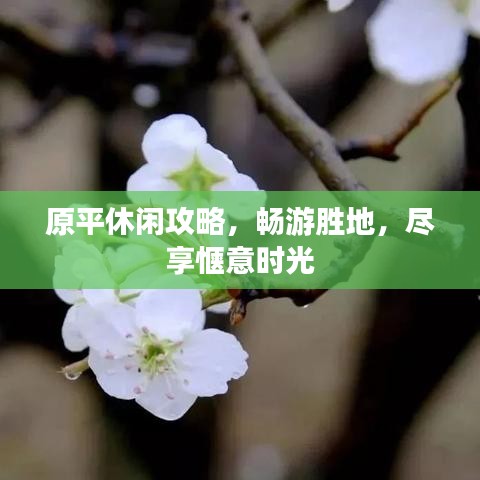 原平休闲攻略，畅游胜地，尽享惬意时光