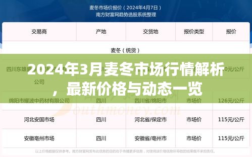 2024年3月麦冬市场行情解析，最新价格与动态一览