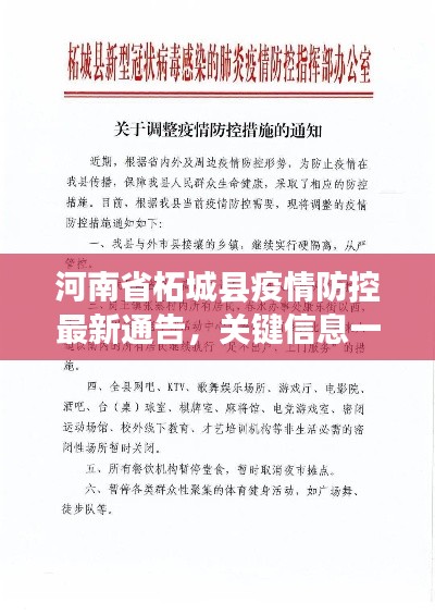 河南省柘城县疫情防控最新通告，关键信息一网打尽！