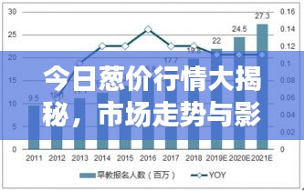 今日葱价行情大揭秘，市场走势与影响因素深度解析