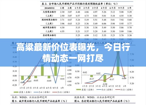 高粱最新价位表曝光，今日行情动态一网打尽