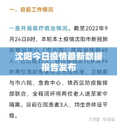 沈阳今日疫情最新数据报告发布