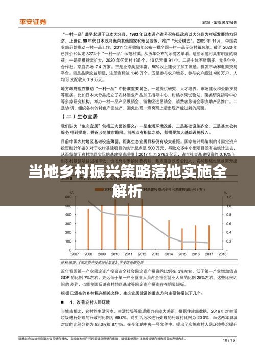 当地乡村振兴策略落地实施全解析