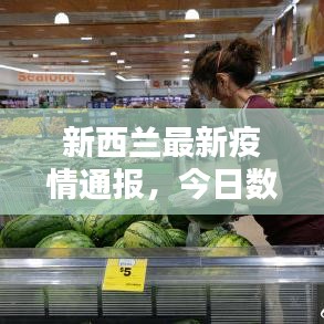 新西兰最新疫情通报，今日数据更新！