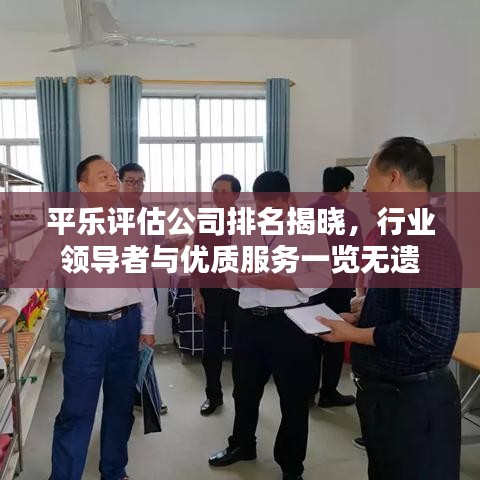 平乐评估公司排名揭晓，行业领导者与优质服务一览无遗