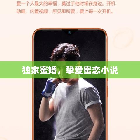 独家蜜婚，挚爱蜜恋小说