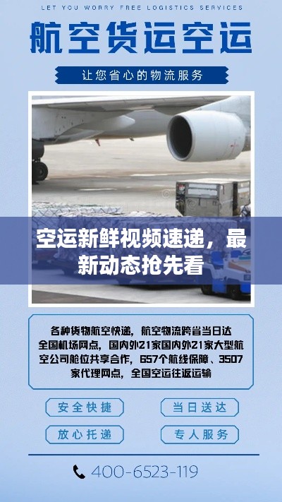 空运新鲜视频速递，最新动态抢先看