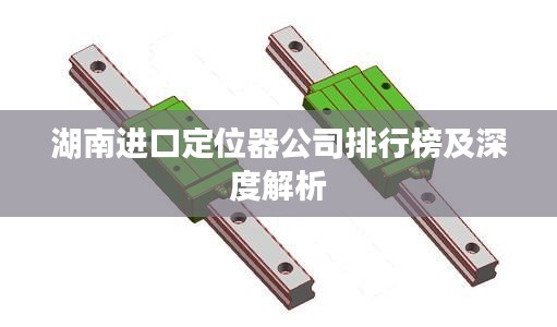 湖南进口定位器公司排行榜及深度解析