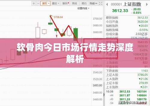 软骨肉今日市场行情走势深度解析