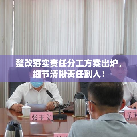 整改落实责任分工方案出炉，细节清晰责任到人！