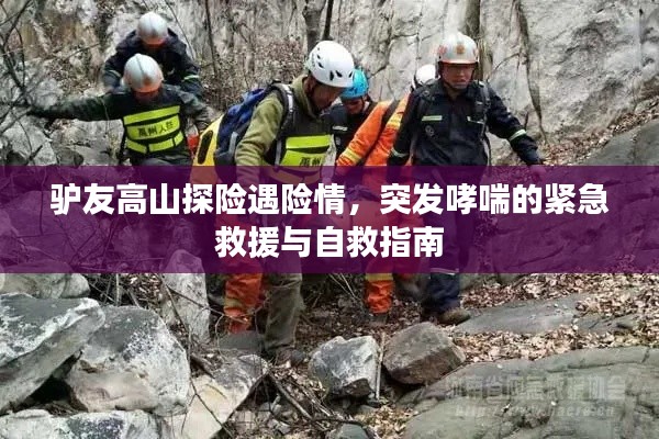 驴友高山探险遇险情，突发哮喘的紧急救援与自救指南
