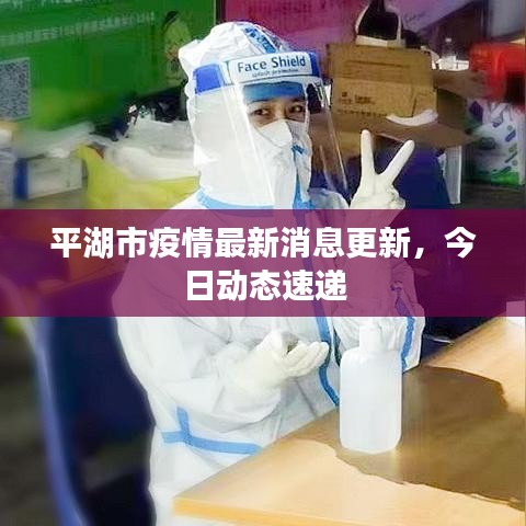 平湖市疫情最新消息更新，今日动态速递