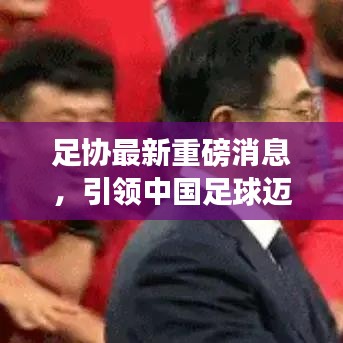 足协最新重磅消息，引领中国足球迈向新高度的重要动态揭秘