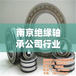 南京绝缘轴承公司行业地位显赫，影响力不容小觑！