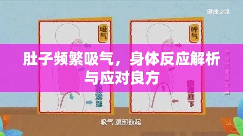 肚子频繁吸气，身体反应解析与应对良方