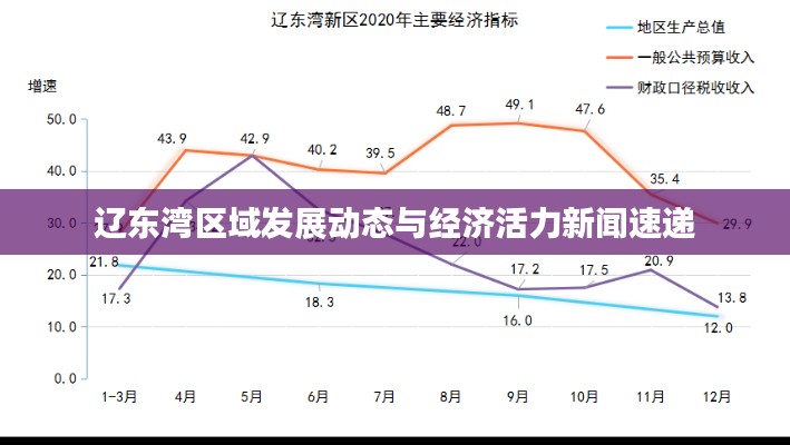 辽东湾区域发展动态与经济活力新闻速递