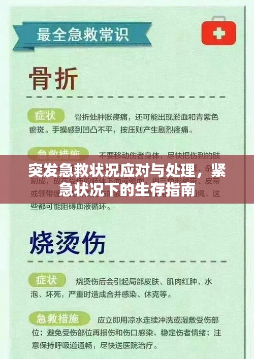 突发急救状况应对与处理，紧急状况下的生存指南
