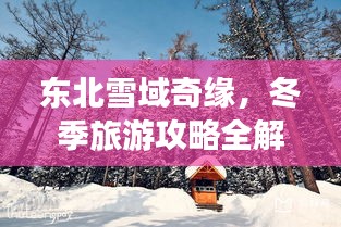 东北雪域奇缘，冬季旅游攻略全解析
